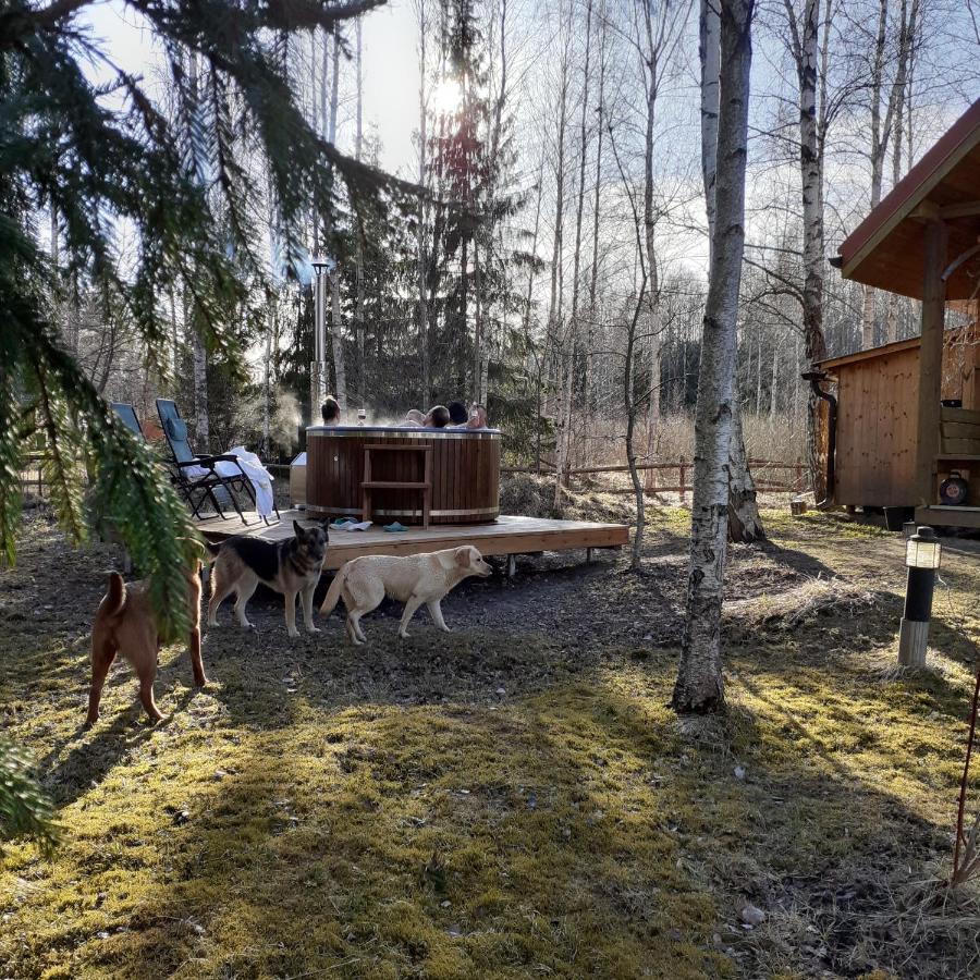 Guest House Leveri Valgalciems Экстерьер фото